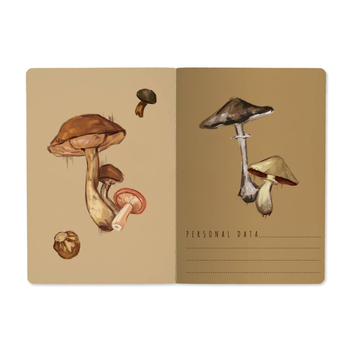 Mushrooms on White