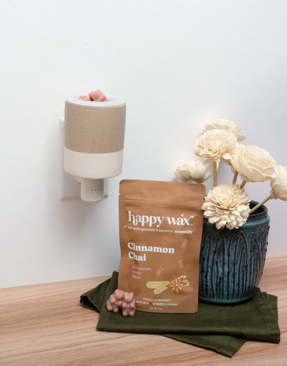 Timer Outlet Wax Warmer for Scented Wax Melts: Opalescent